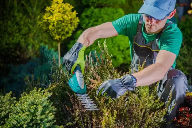 landscaping services Dresden